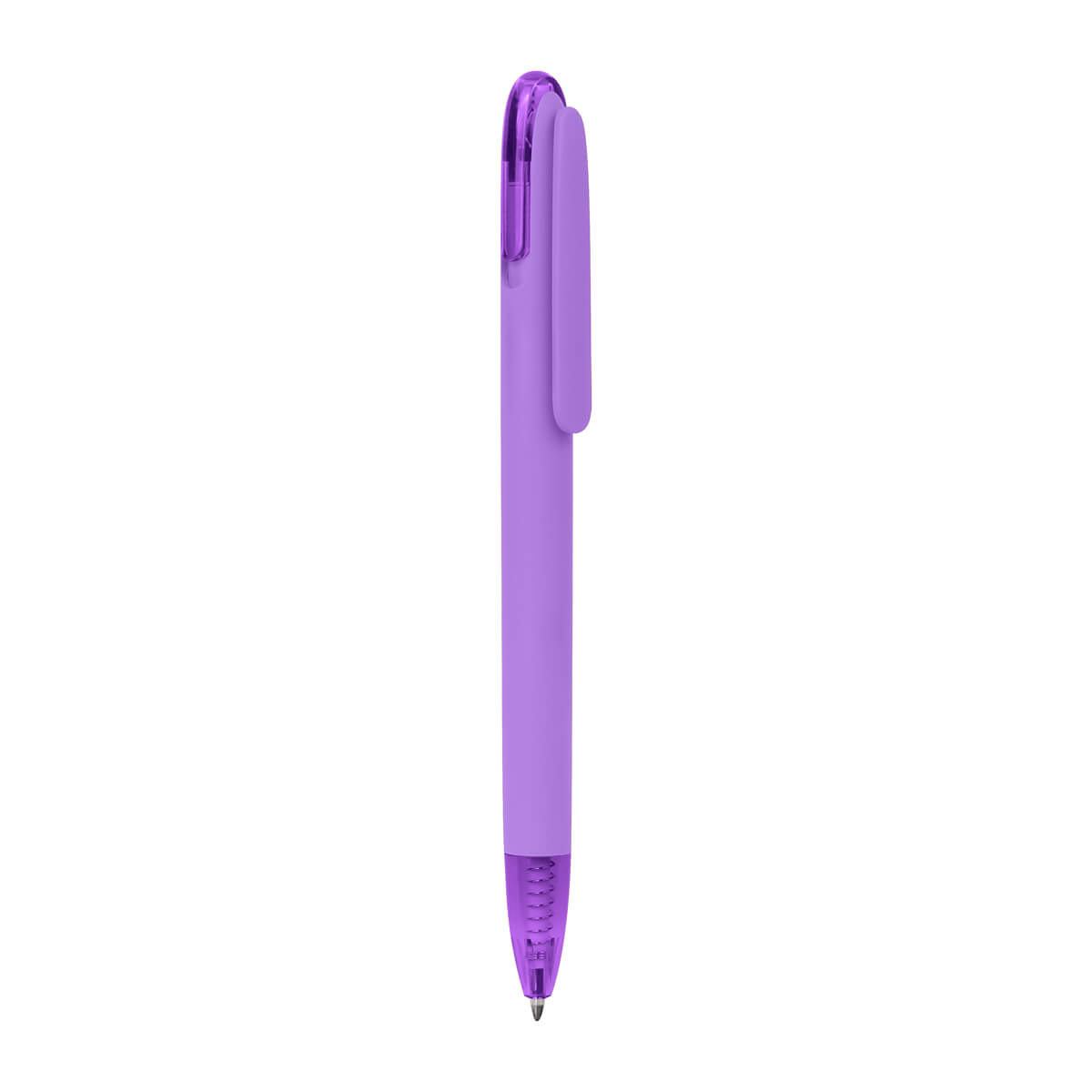 CC2825-MORADO